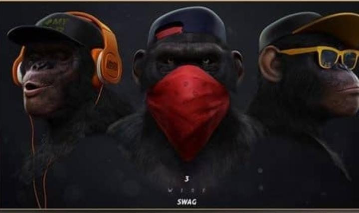 میمون شماره ۱