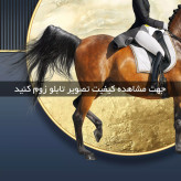تابلو دکوراتیو ( 1530-MR ART )