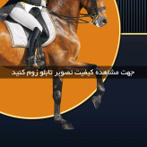 تابلو دکوراتیو ( 1529-MR ART )
