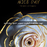 تابلو سه تکه ( 1499-MR ART )