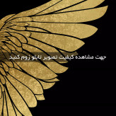 تابلو دو تکه ( 1490-MR ART )