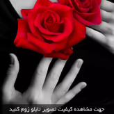 تابلو دکوراتیو ( 1452-MR ART )