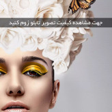 تابلو دکوراتیو ( 1451-MR ART )