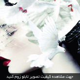 تابلو دکوراتیو ( 1447-MR ART )