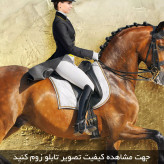 تابلو دکوراتیو ( 1390-MR ART )