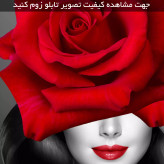 تابلو دکوراتیو ( 1360-MR ART )
