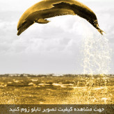 تابلو سه تکه ( 1350-MR ART )